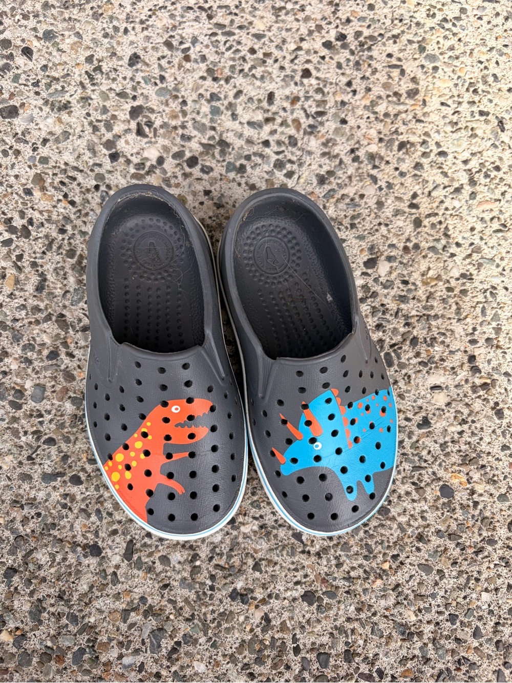 Native Kids Slip-On Clog with Blue and Orange Dino Accents